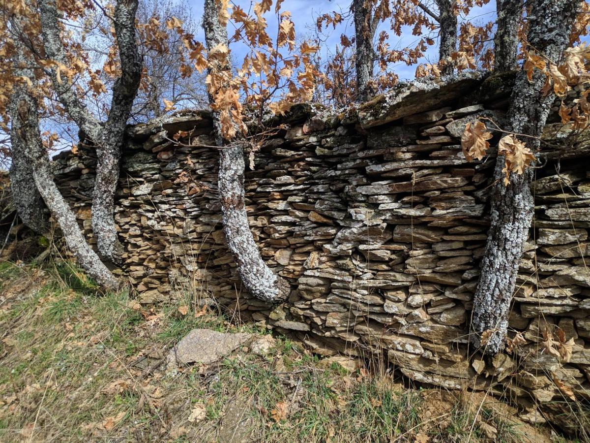 Casa Rural Fuente Del Arca Montejo Montejo de la Sierra Extérieur photo